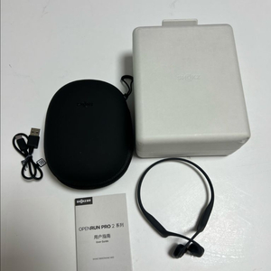 오픈런2프로 골전도 이어폰