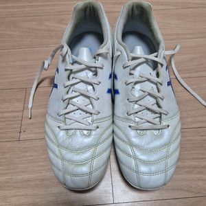 아식스 ds light pro ag