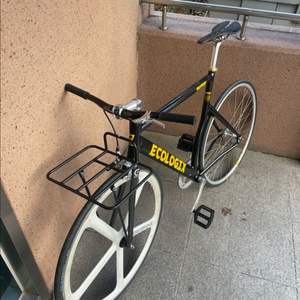 바이큰 에콜로직스 랩소디 55사이즈 픽시 이미지