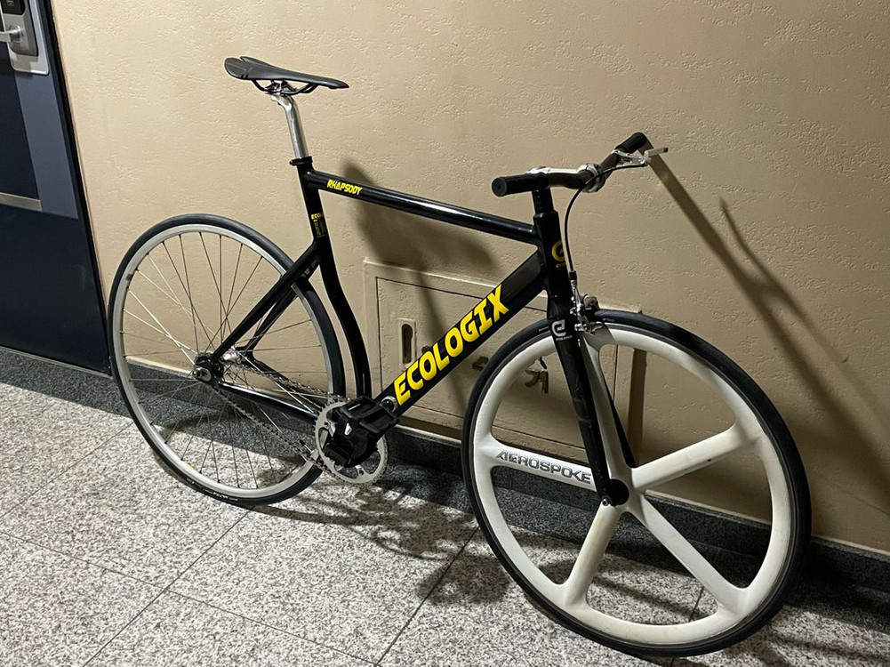 바이큰 에콜로직스 랩소디 55사이즈 픽시 이미지