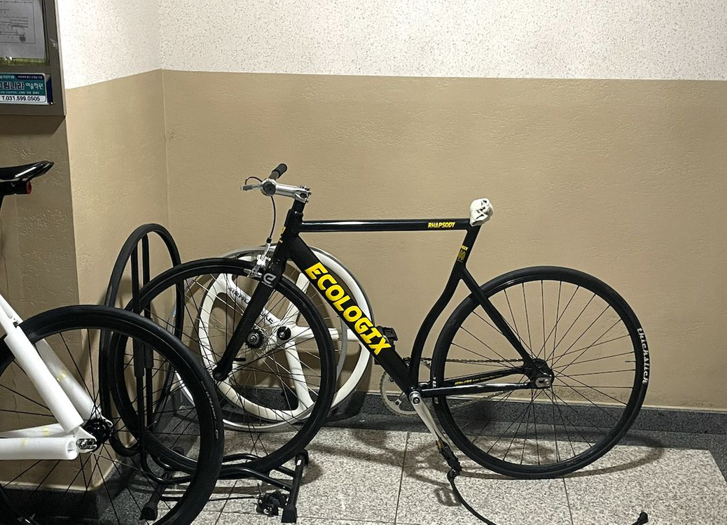 바이큰 에콜로직스 랩소디 55사이즈 픽시 이미지