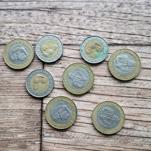 포르투갈 중앙은행 동화 500포르투가르디나 코인 세트