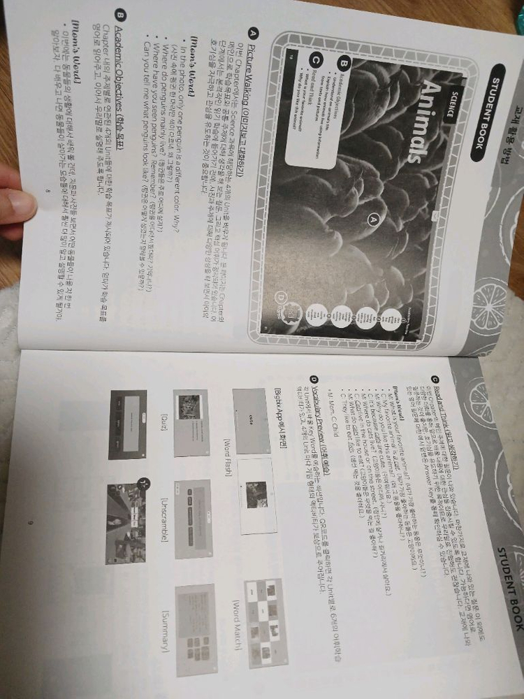 웅진컴파스 논픽션 퓨처리터러시 50+엄마표가이드북 이미지