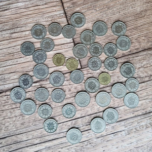 동전 컬렉션 세트