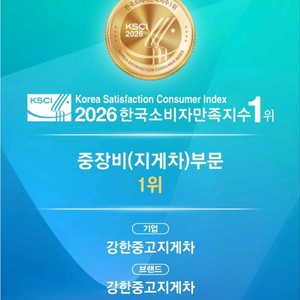 중고지게차 [현대] 18년식 25톤[250D-9] 풀옵션 지게차