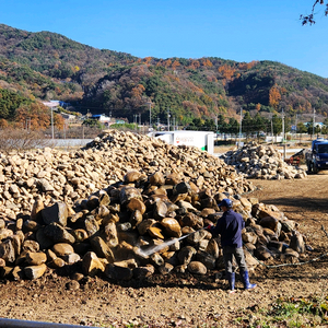 조경석, 자연석 담장석 헐값에 판매합니다.