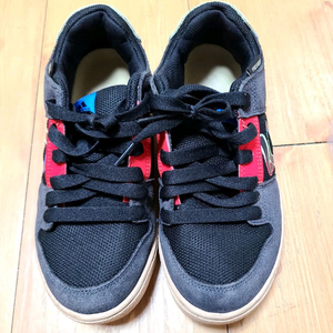 MTB신발.스케이트보드 신발 255 파이브텐