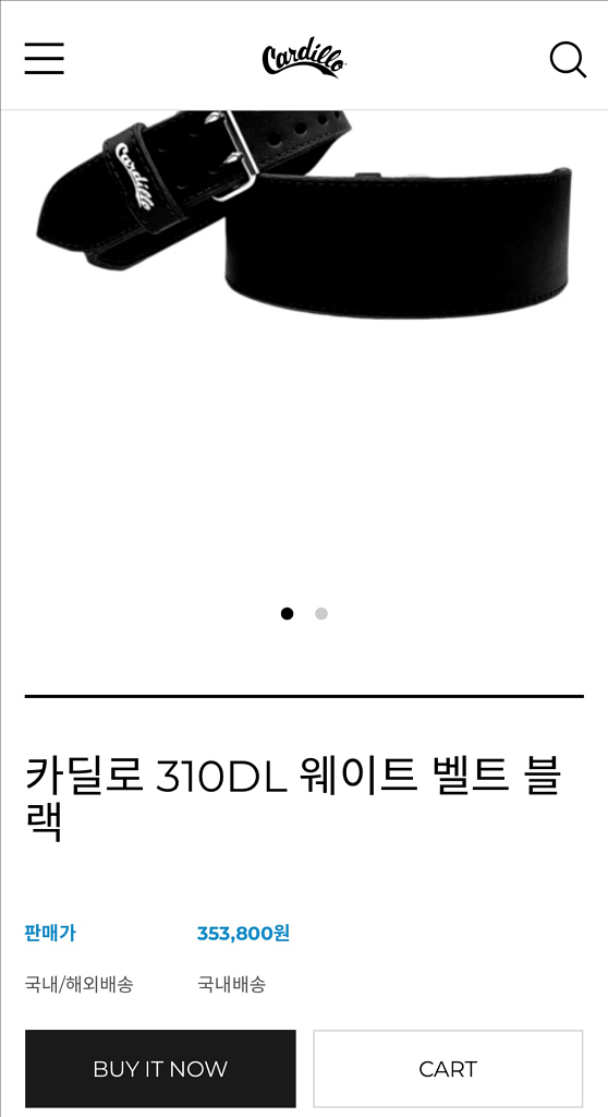 카딜로310dl XS [민트급]--9