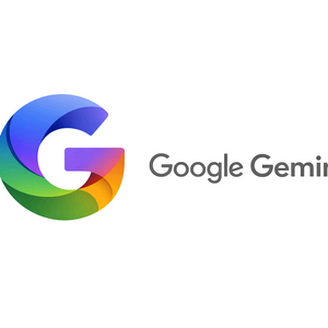 (1.5만) 구글 제미나이 프로 1년 이용권