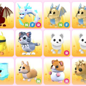 입양하세요 펫 이미지