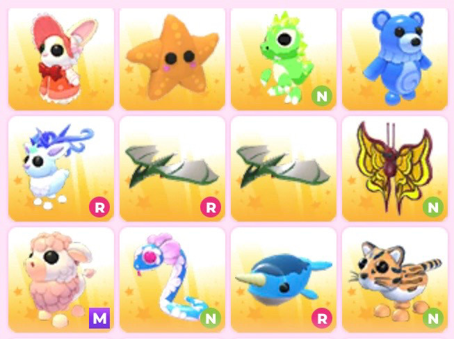 입양하세요 펫 이미지