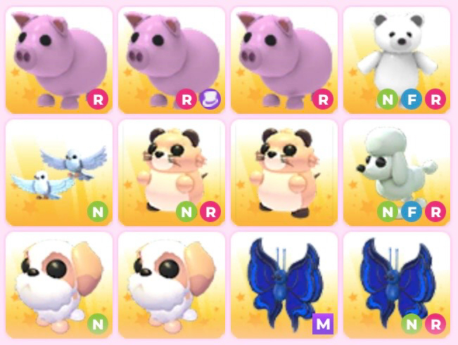 입양하세요 펫 이미지