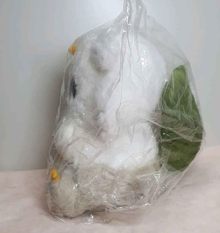 미개봉) 치이카와 아노코 봉제인형 누이 (정품) 먼작귀 인형 치이카와 마켓 치이카와 우사기 하치와레 랏코 모몽가 이미지