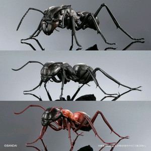 반다이 생물대도감 개미 3종