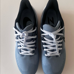 나이키 페가수스 290