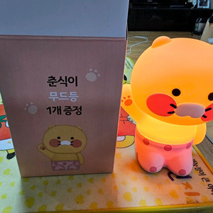 카카오프렌즈 춘식이 무드등