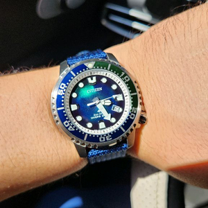 (최종가)시티즌 프로마스터 bn0166-01l 다이버 한정판시계