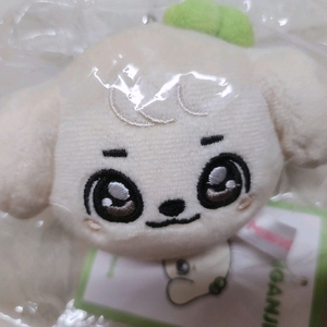 미개봉 강안지 페이스 키링 안유진 인형 키링 미니브 스쿨 이미지