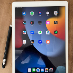 아이패드 프로 12.9 2세대 128기가 골드