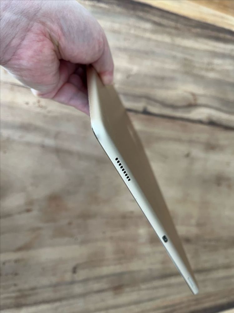 아이패드 프로 12.9 2세대 128기가 골드--4