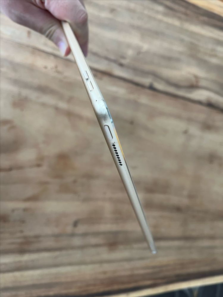 아이패드 프로 12.9 2세대 128기가 골드--5