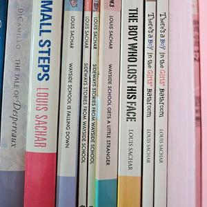 영어 원서 루이스사커 루이스새커 웨이사이드스쿨 스몰스텝스 The boy who lost his face 이미지