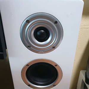 헤코(HECO)벽걸이, 켄톤(CANTON)벽걸이 스피커