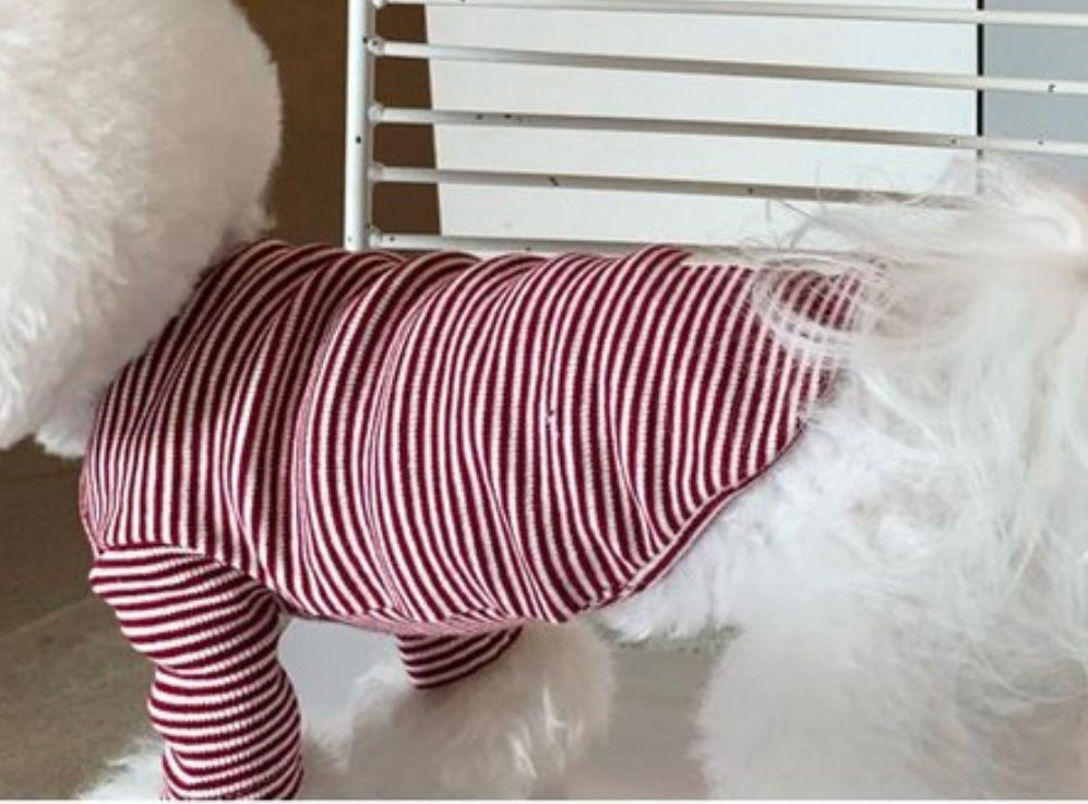 강아지 옷 누빔 조끼 티셔츠 L 일괄--1