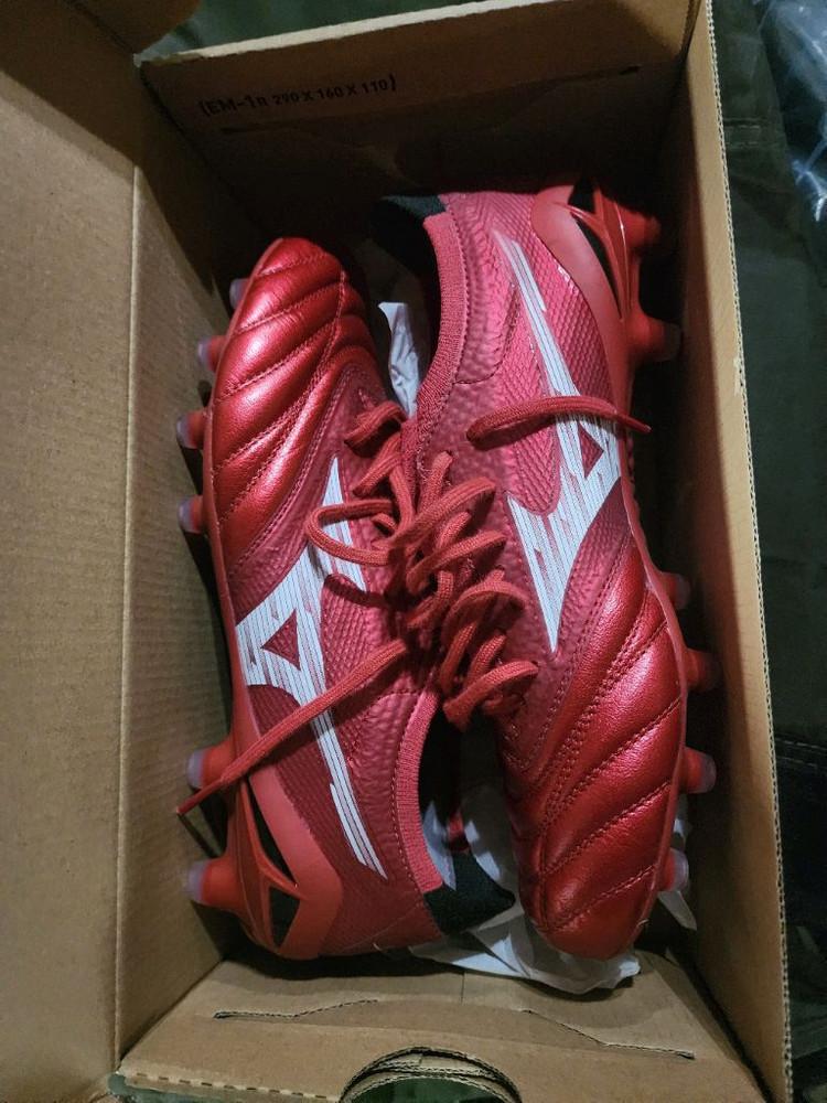 모렐리아네오4 베타엘리트md 245 이미지