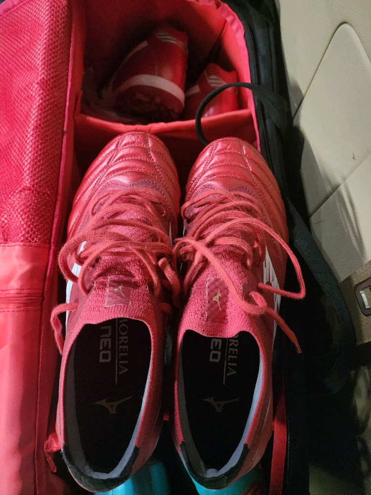 모렐리아네오4 베타엘리트md 245 이미지