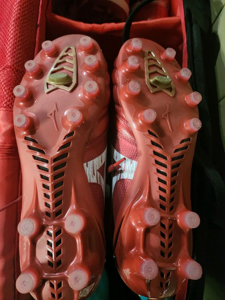 모렐리아네오4 베타엘리트md 245 이미지