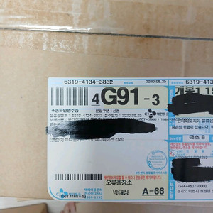 RG 톨기스 (애니메이션 컬러)