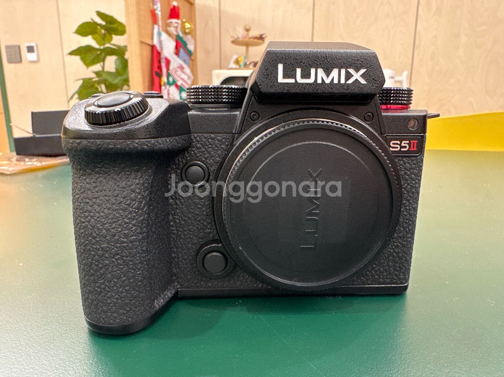 Panasonic LUMIX S5 II (DC-S5M2)--1