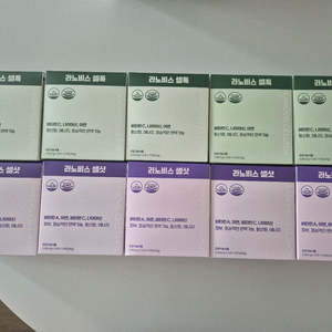 댄다코리아 라노비스 셀샷 셀톡 산다르