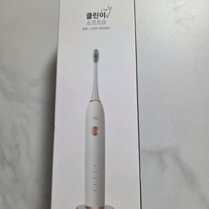 전동칫솔. 칫솔살균기