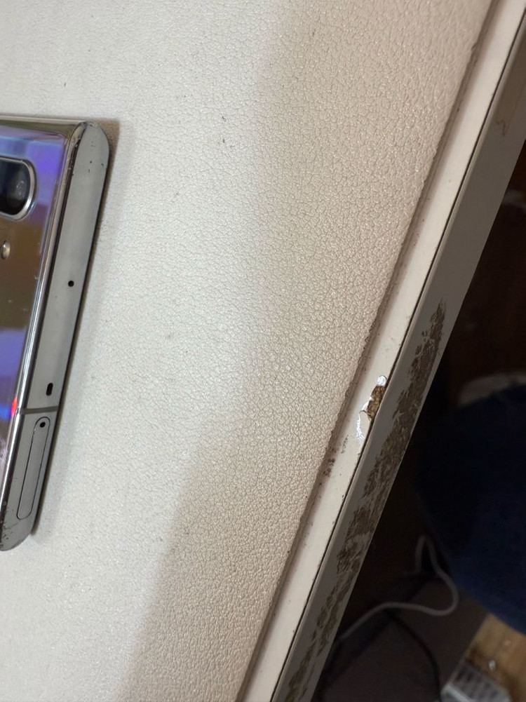 갤럭시노트10플러스 256기기 이미지