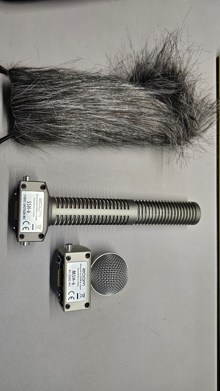 zoom f1 LP, msh6 이미지