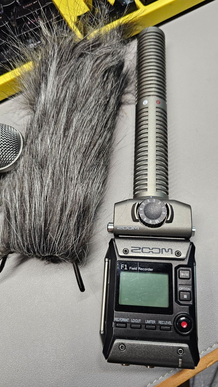 zoom f1 LP, msh6 이미지