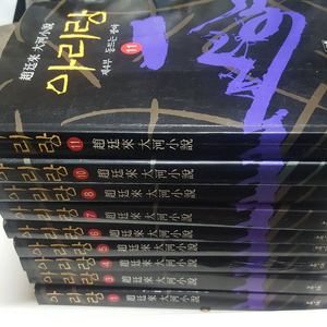 조정래 아리랑 아홉권 (1-11권중 두권 분실) 상태좋습니다.