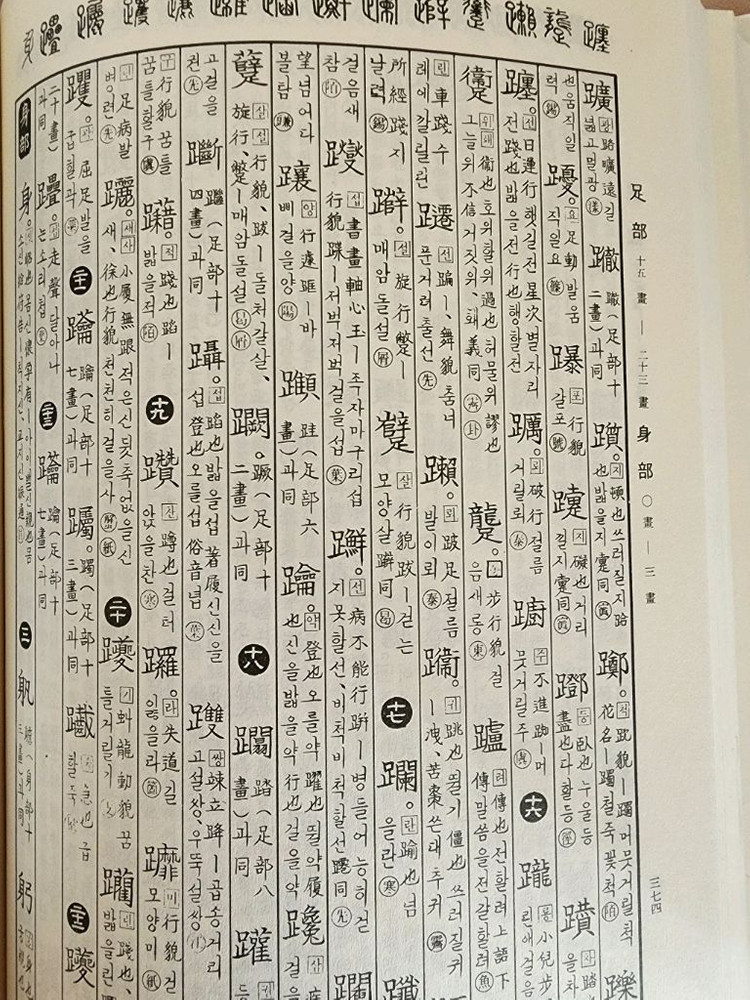 전문 한자사전/현대 신 활용 옥편--6