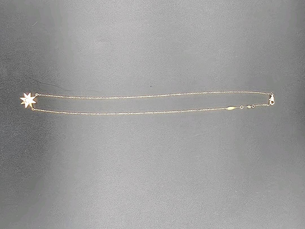 디올 로즈 드 방 18K 옐로우 골드 목걸이--3