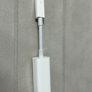 애플 썬더볼트 기가이더넷 어댑터