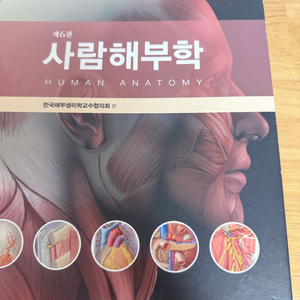 현문사 사람해부학 6판