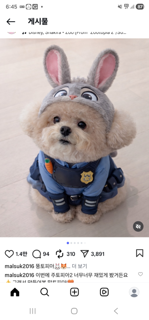 프로필 이미지