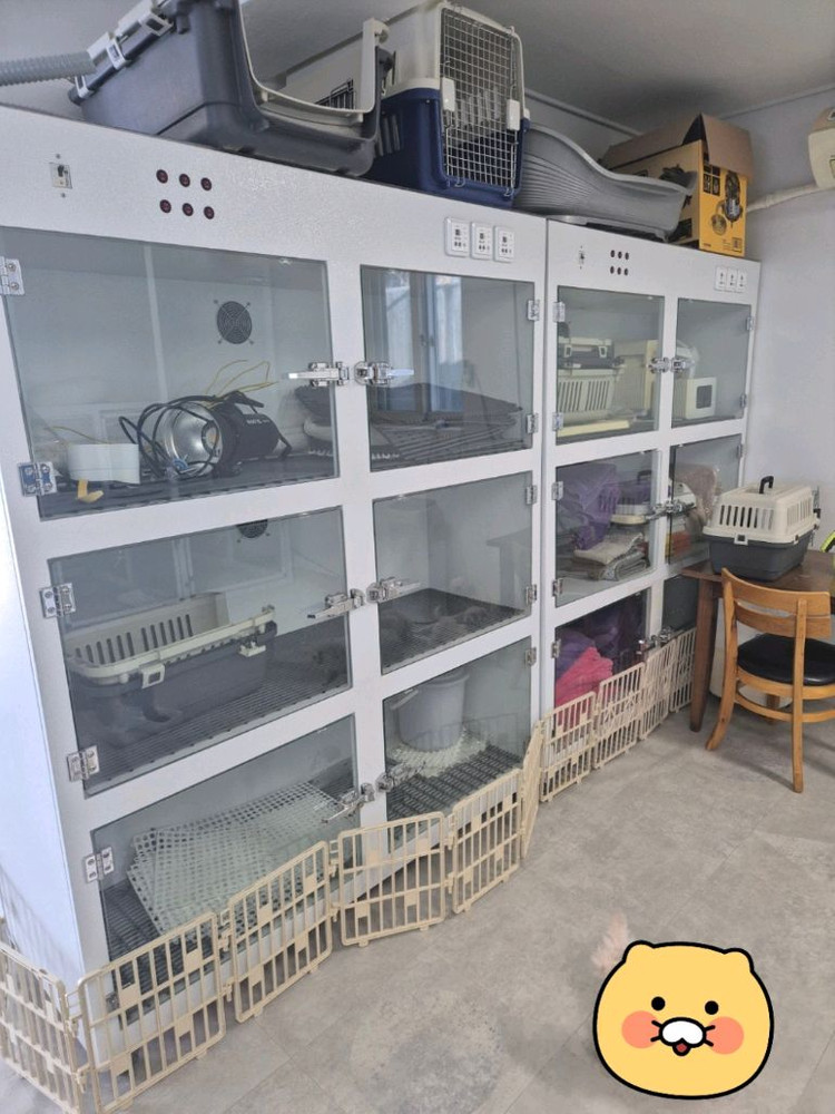 애견 호텔장 병원용 입원장 3단 케이지 세트 이미지