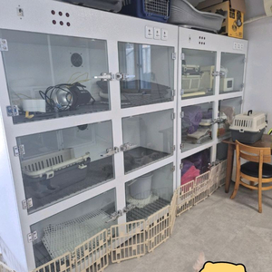 애견 호텔장 병원용 입원장 3단 케이지 세트 이미지