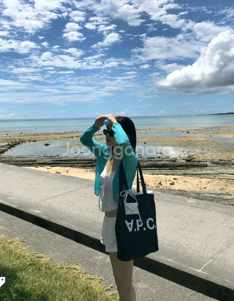 아페쎄 APC 로르 데님 에코백 토트백 가방 새제품--3