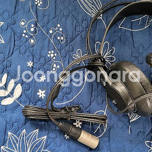 AKG HSD200 방송용 헤드셋 + 마이크