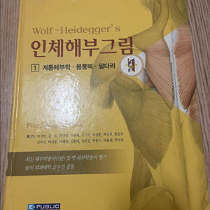 Wolf-Heideggers 인체해부그림 (5판) 1,2권 일괄