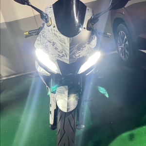 20년식 야마하 r3 아수라베놈데칼 SC머플